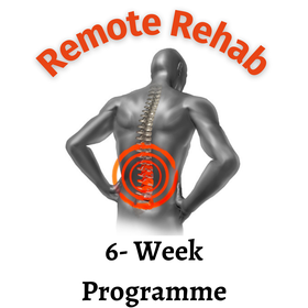 Remote Rehab picture of product